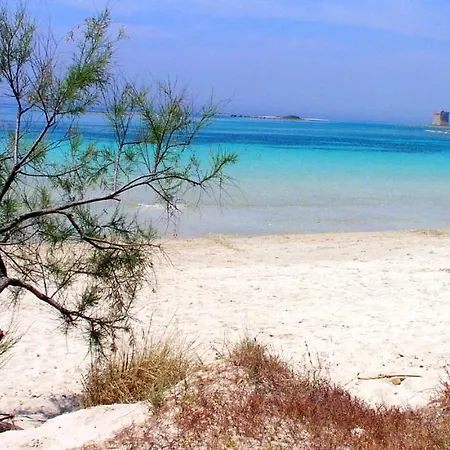 Francis Sul Mare